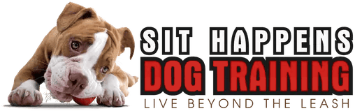 Sit Happens Dog Training Florida