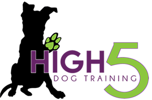 high-5-dog-training